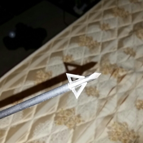 Golden eagle compound bow - Picture 2 of 3