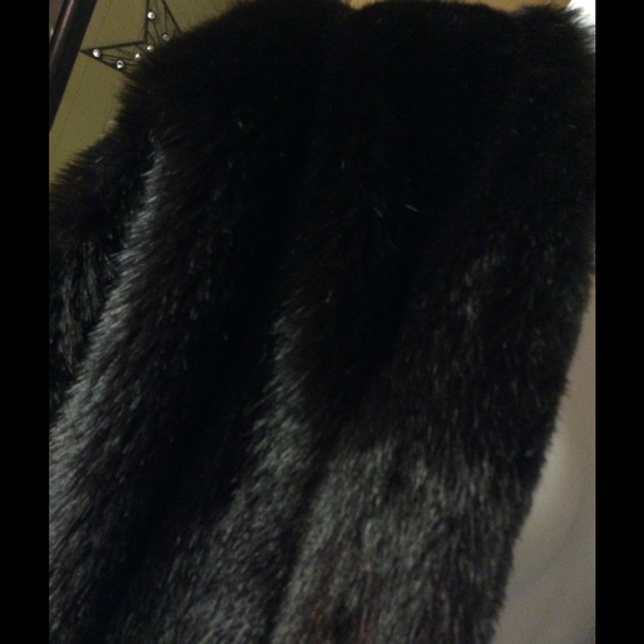 Fur Coat - Picture 2 of 4