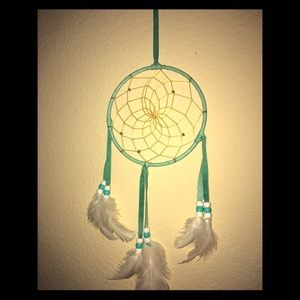 An amazing dream catcher!