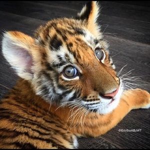 Bundle for myposhcloset_a