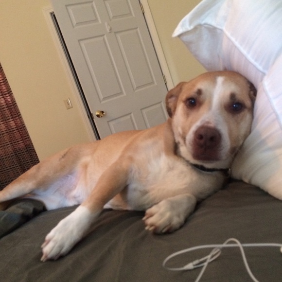 Meet Your Seller! that's me! - Picture 2 of 4