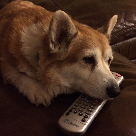 Meet Your Seller! that's me! - Picture 3 of 4