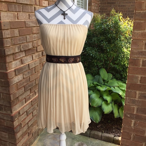 NWT Cream Pleated Dress from Wish Size Large