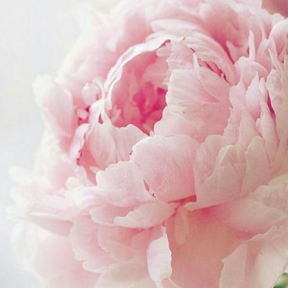 EVERYTHING SOLD BEYOND THIS POINT - Picture 2 of 3