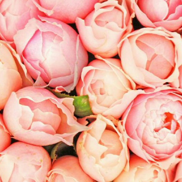 EVERYTHING SOLD BEYOND THIS POINT - Picture 3 of 3