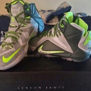 Lebron dunkman 12s