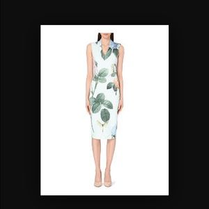 Ted Baker mint Dress