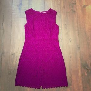 LAST CALL DVF Raspberry Silk and Lace Capreena NEW