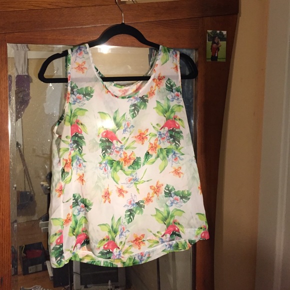 American apparel Flamingo nylon top