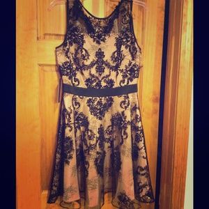 The Limited Lace Dress