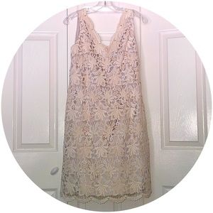 Ann Taylor Cream Lace Dress