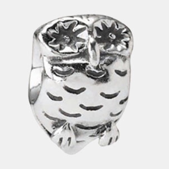 Owl pandora charm!