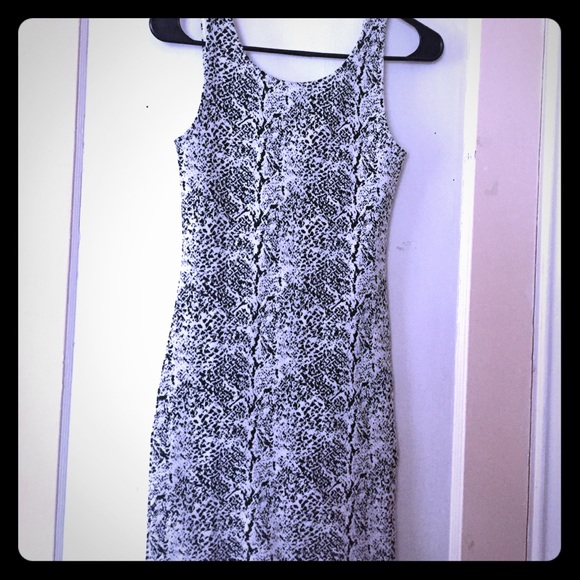 Animal print
