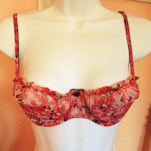 RARE Anna Sui x Victoria's Secret Lingerie