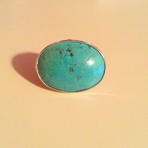 FREE Robins Egg Blue Statement Ring w $15+ buy