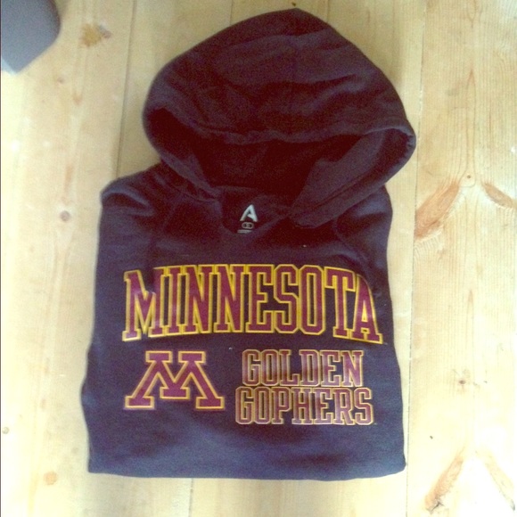 Sweaters - University of Minnesota hoodie and free lanyard