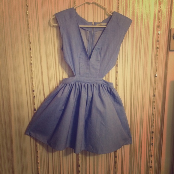 Chambray Skater Dress
