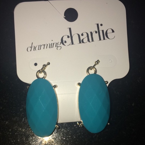 Charming Charlie's Drop Earrings