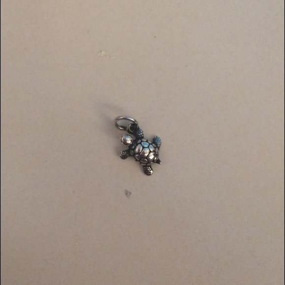 Silver turtle charm