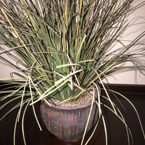 Ruffle tan shirt for trade