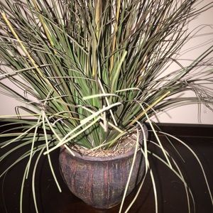 Ruffle tan shirt for trade