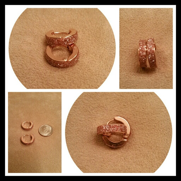 Rose Gold Earrings (NWOT)