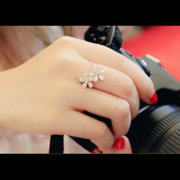 Adjustable ring. - Picture 2 of 2