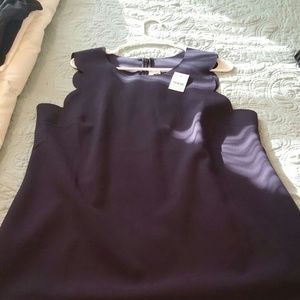 Navy J. Crew Scalloped Shift Dress
