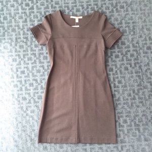 ZARA COLLECTION NWT - Gray Ponte SS Dress - Size M