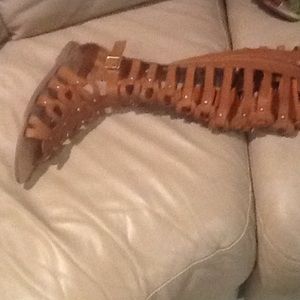 Gladiators knee high size9