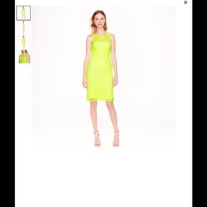 J.Crew neon lace sheath dress. NWT. Sz. 12