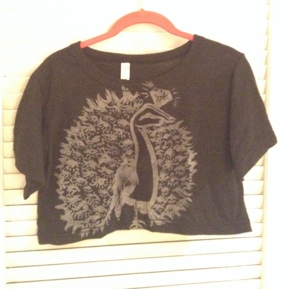 American Apparel peacock crop top
