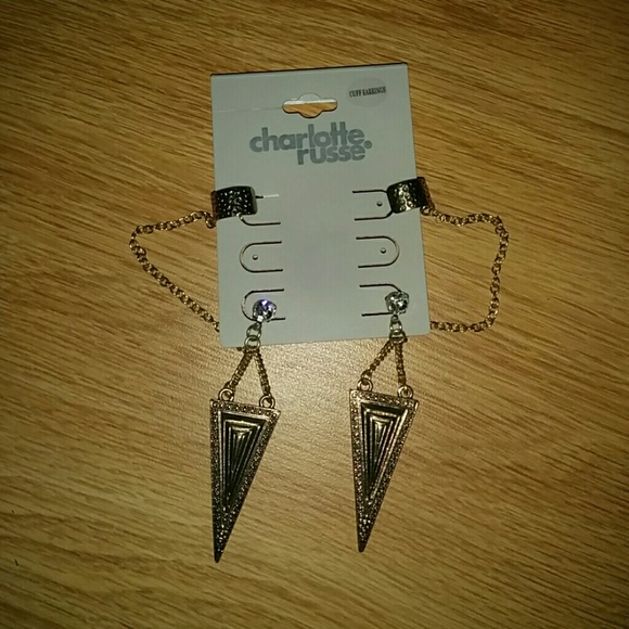 Never worn earrings! Super cute!