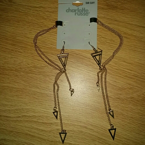 Never worn earrings! Super cute!