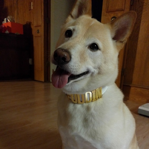 I'm Lily! Designer, Tomboy. Poker player & Posher! - Picture 4 of 4