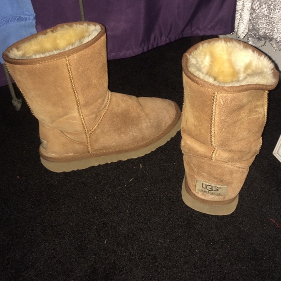 chestnut uggs