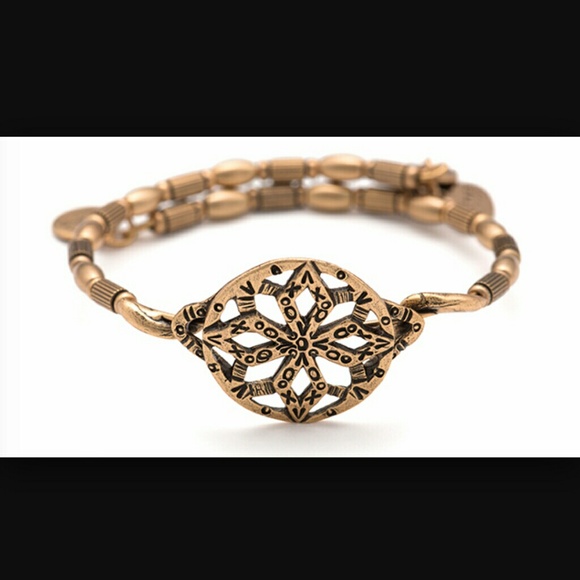Alex and Ani Baraka wrap bracelet.