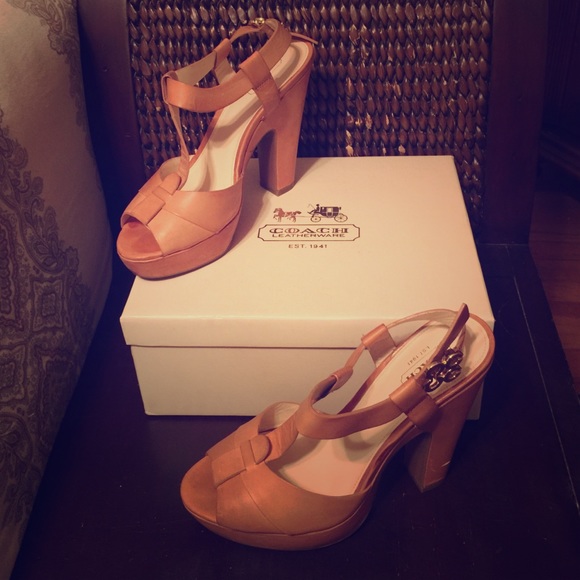 Coach Kourtney Vachetta