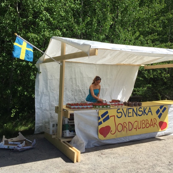 🇸🇪Sweden:  Home of Absolut Vodka, Avicii & MORE - Picture 2 of 2