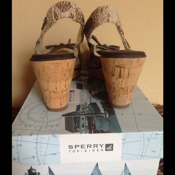 Tory Burch Snake Wedge Heels for Women for sale | eBay 🎉☀️Snake skin Wedge Heels☀️