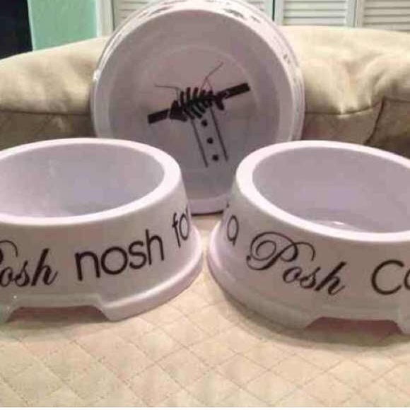 Cat bowls 🐱