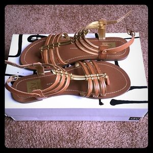 DV gold & brown gladiator sandals