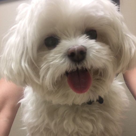 Meet your seller - Picture 4 of 4