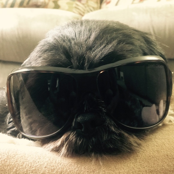 🐶 - Picture 3 of 3