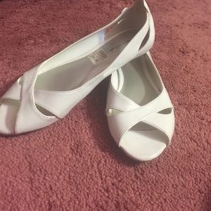 American eagle flats