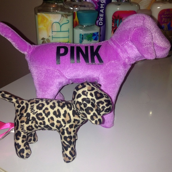 💜 VS PINK DOGS 💙