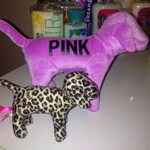 💜 VS PINK DOGS 💙