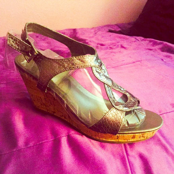 Silver Wedge