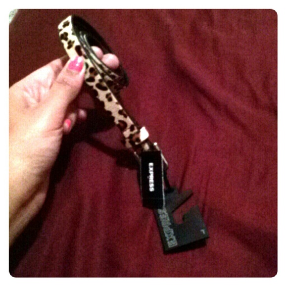 Skinny Cheetah print belt - Picture 1 of 1