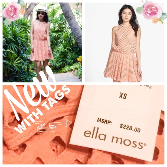 NWT Ella Moss Blush Full Skater Tessa Dress